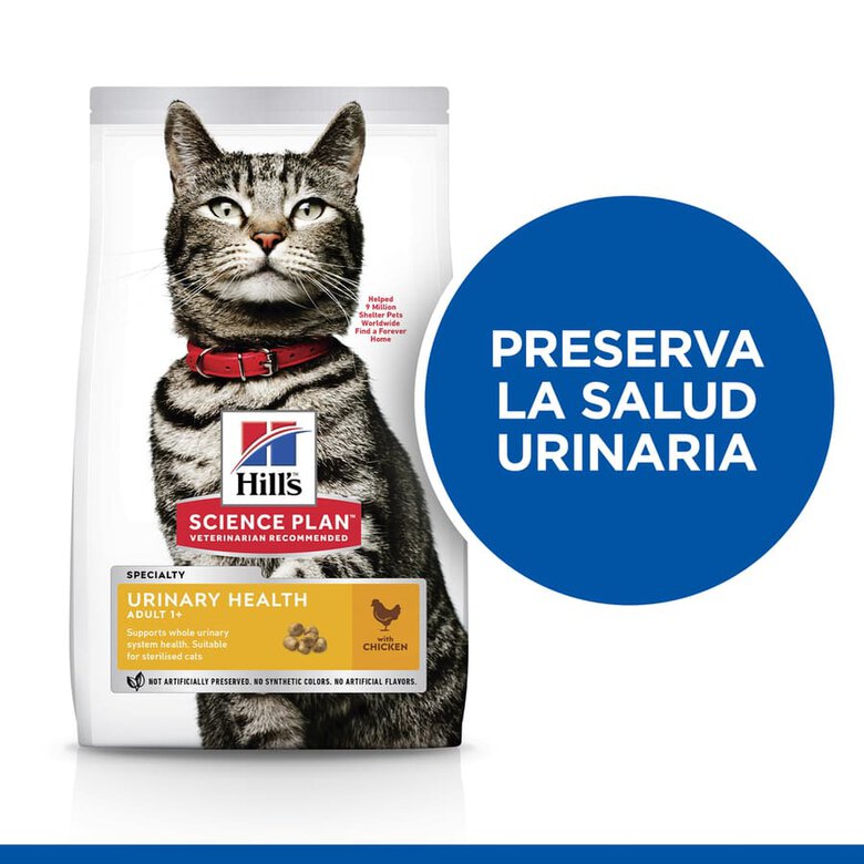 Hill's Urinary Frango ração para gatos , , large image number null